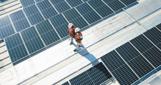 Best Roof Maintenance and Cleaning  in Clemson, SC
