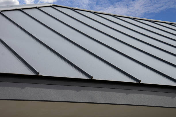 Best Solar Panel Roofing Installation  in Clemson, SC